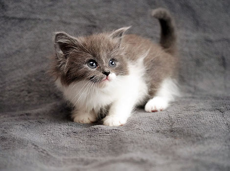 Quiana am 28.05.2025